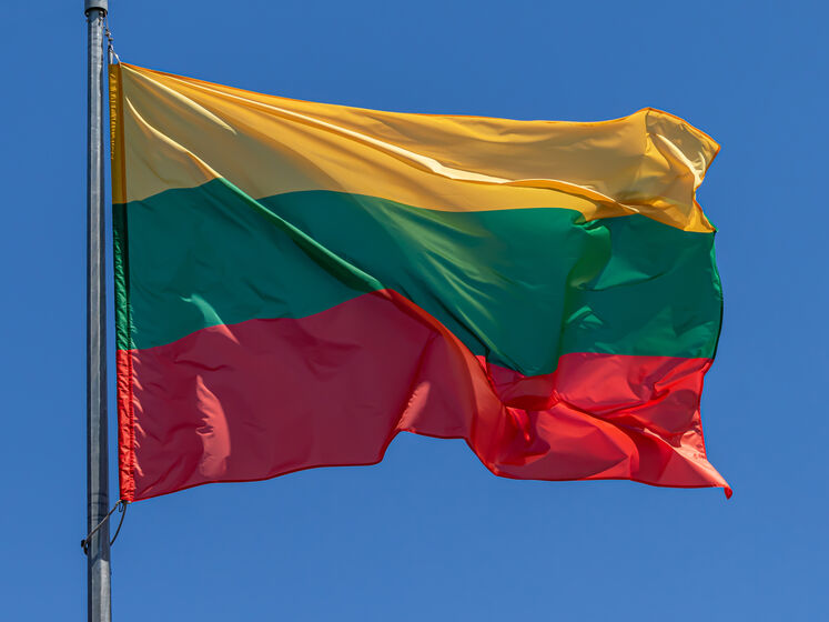 "Проявление отчаяния". В Литве прокомментировали российскую инициативу по "отмене" литовской независимости