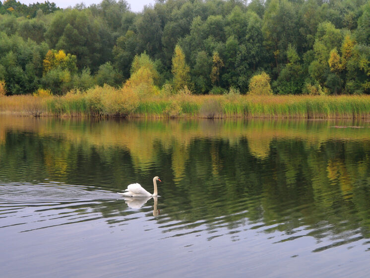 Власти Трускавца пообещали выдавать повестки за купание в питьевом озере
