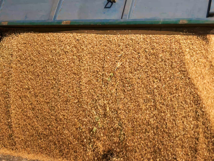 РФ могла вкрасти на окупованих територіях понад 180 тис. тонн зерна – "Схеми"