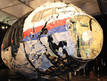 ПАСЕ признала, что самолет рейса MH17 был сбит российской ракетой