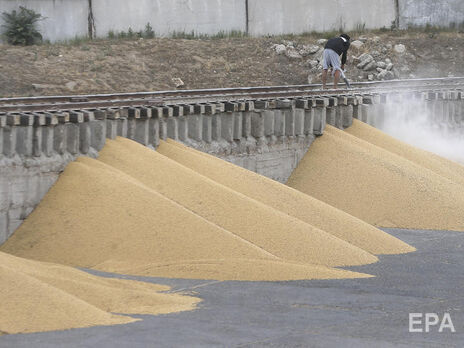Великобританія робитиме аналіз ДНК, щоб знаходити вивезене з України зерно на світових ринках