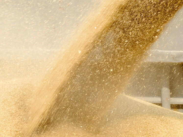 У Росії похизувалися крадіжкою зерна з окупованого Бердянська. 7 тис. тонн відправлять 
