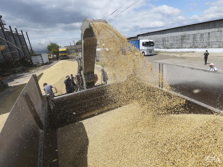 Экспорт украинского зерна вырос и продолжает расти – Минагрополитики