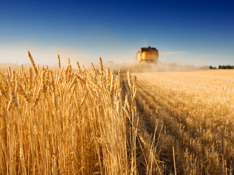 В этом году Украина планирует собрать не менее 50 млн тонн зерна – Минагрополитики
