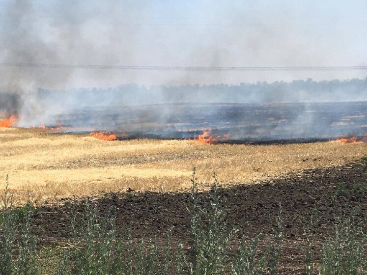 Из-за российских обстрелов сгорело 20 га пшеницы – глава Днепропетровского облсовета