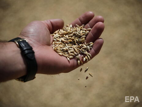 Экспорт украинского зерна через Дунай важен, но этого недостаточно для предотвращения глобального голода – ООН