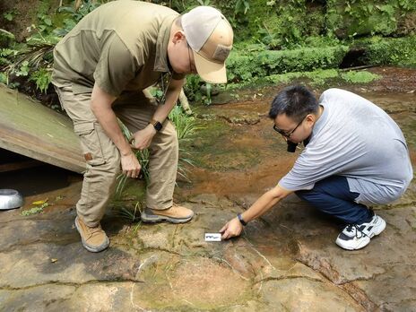 На территории китайского ресторана нашли следы динозавров, которым 100 млн лет