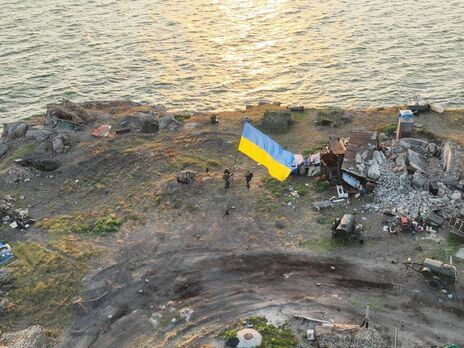 Украинские военные разминировали Змеиный и эвакуировали с острова кота, несколько месяцев прожившего в оккупации