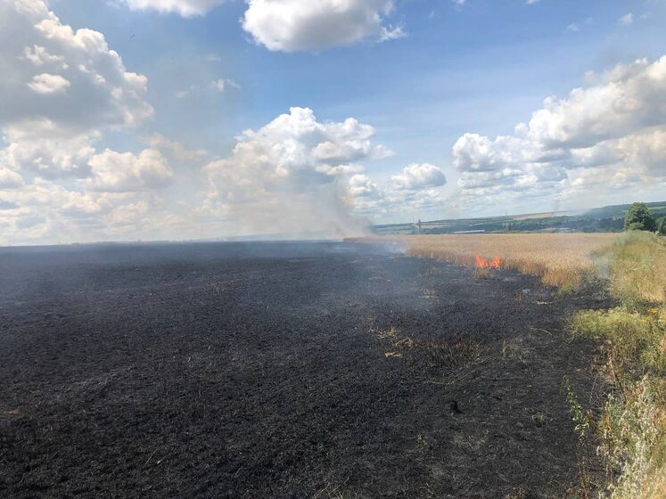 В Харьковской области из-за обстрелов оккупантов уничтожено более 130 га посевов зерновых – ГСЧС