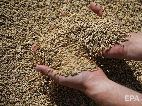 Виводити кораблі з українським зерном через мінні поля будуть ЗСУ, назад їх має намір оглядати Туреччина, щоб не допустити постачання зброї – ЗМІ