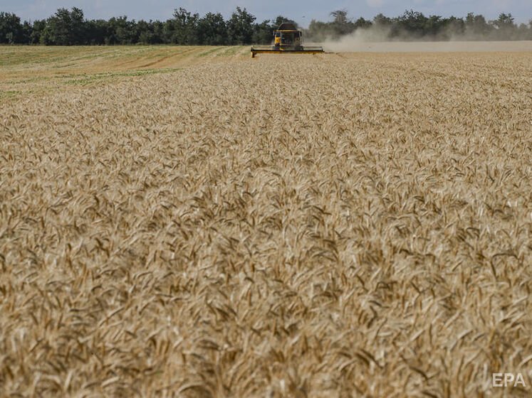 В Луганской области оккупанты отобрали у украинских аграрных компаний 70 тыс. тонн зерна нового урожая – ОВА