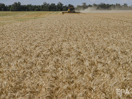 У Луганській області окупанти відібрали в українських аграрних компаній 70 тис. тонн зерна нового врожаю – ОВА