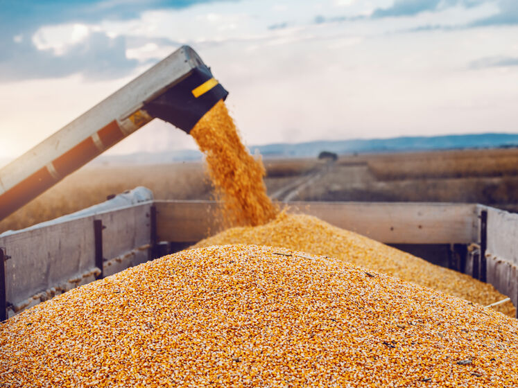 В Минагрополитики Украины рассказали, как разблокировка портов повлияет на цену зерна