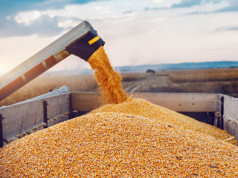 В Минагрополитики Украины рассказали, как разблокировка портов повлияет на цену зерна