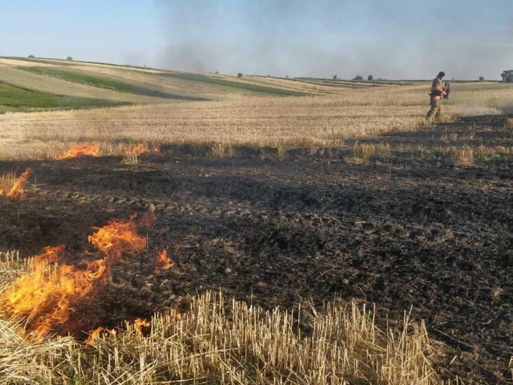 Троє людей загинули через підпали сухої трави на Прикарпатті – ДСНС