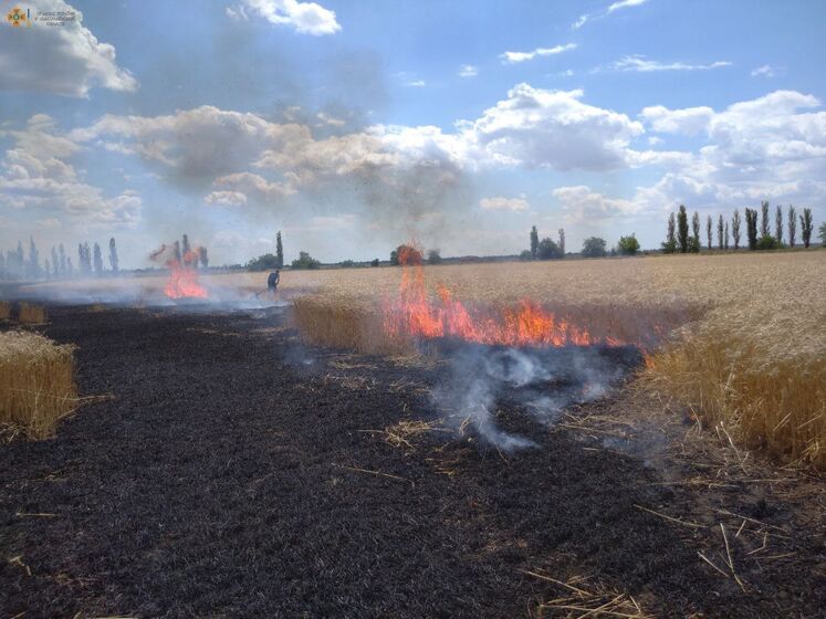 "Русня жжет хлеб". В ГСЧС сообщили, что из-за российских обстрелов в Николаевской области сгорело 230 га пшеницы