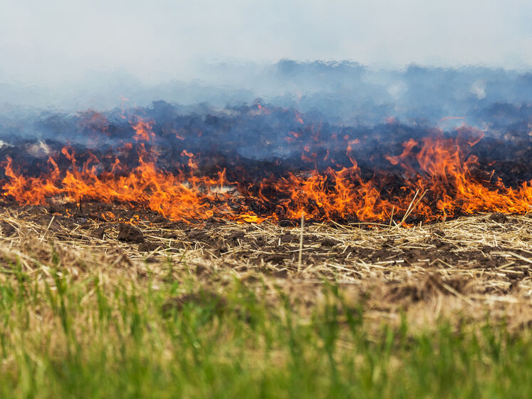 В Херсонской области оккупанты уничтожили более 200 га урожая за сутки