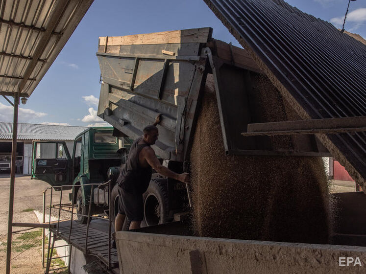 Єгипет скасував контракти на купівлю українського зерна, підписані ще до війни – ЗМІ