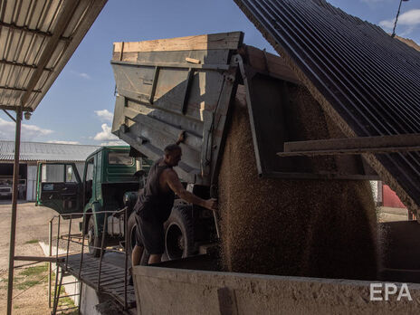 Египет отменил контракты на покупку украинского зерна, подписанные еще до войны – СМИ