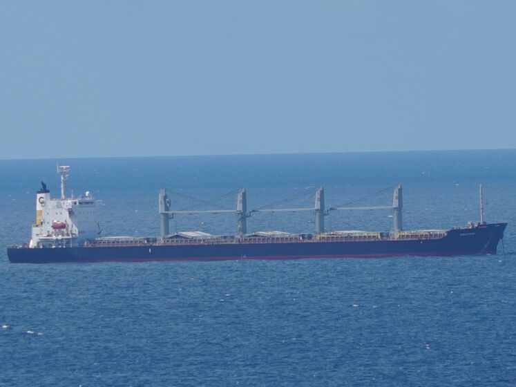 В Стамбул прибыло первое судно из каравана, перевозящего украинское зерно – минобороны Турции