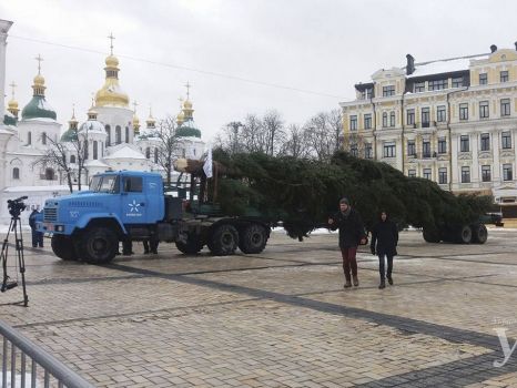 Главную новогоднюю елку Украины доставили в Киев