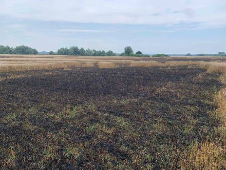 Из-за обстрела оккупантами сгорело поле украинской пшеницы – глава Сумской ОВА