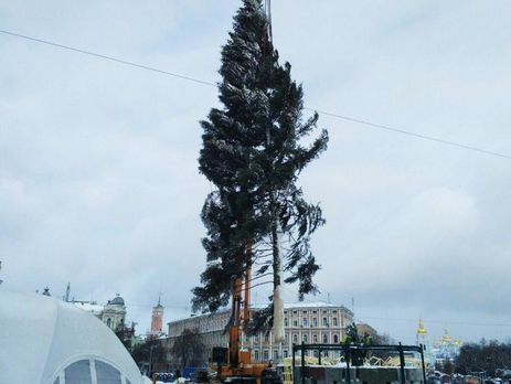 В Киеве на Софийской площади установили 26-метровую новогоднюю елку. Фоторепортаж