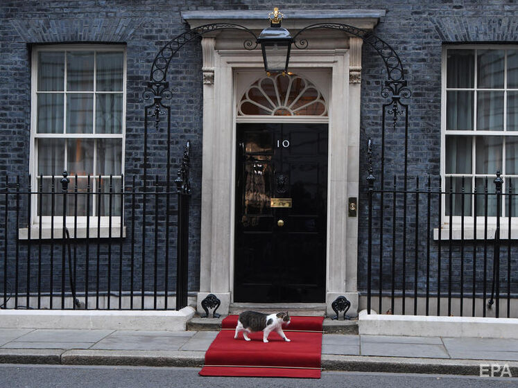Вход в резиденцию британского премьера украсили сине-желтой аркой. На ее фоне уже сфотографировался главный мышелов офиса – кот Ларри. Фото