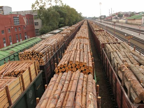 В ЕС заявили, что выступают против моратория на экспорт леса, так как это – ограничение свободной торговли