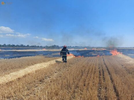 У Миколаївській області через російські обстріли вигоріло поле із пшеницею, збитки становлять понад 1,27 млрд грн – Держекоінспекція
