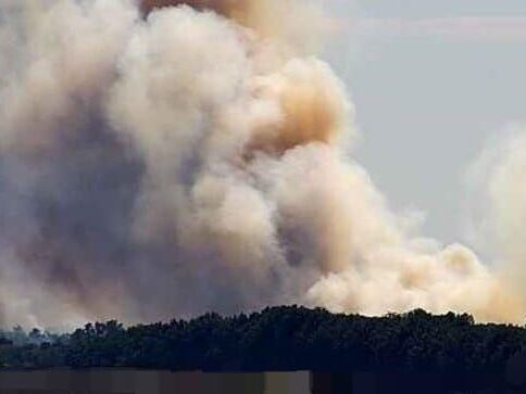 В Сумской области в результате обстрела россиянами начался лесной пожар &ndash; ОВА