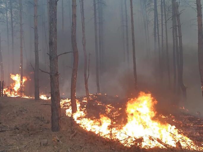 Оккупанты обстреляли два района в Днепропетровской области, в лесу возник пожар – глава облсовета