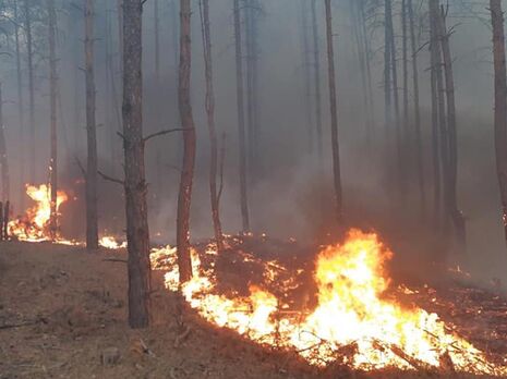 Окупанти обстріляли два райони у Дніпропетровській області, у лісі виникла пожежа – голова облради