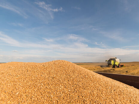Кабмин Украины согласовал бесплатную передачу 50 тыс. тонн зерна странам Африки