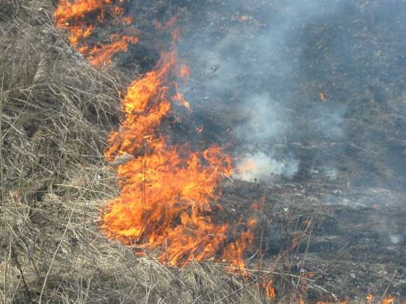 Суд впервые в Украине обязал поджигателя травы выплатить компенсацию за выезд пожарных
