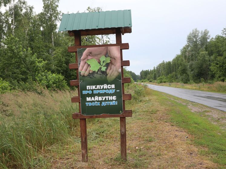 Оккупанты убили жителя Черниговской области, собиравшего в лесу грибы – командование "Север"