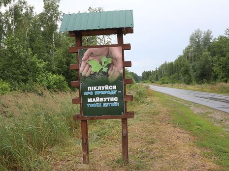 Оккупанты убили жителя Черниговской области, собиравшего в лесу грибы – командование 