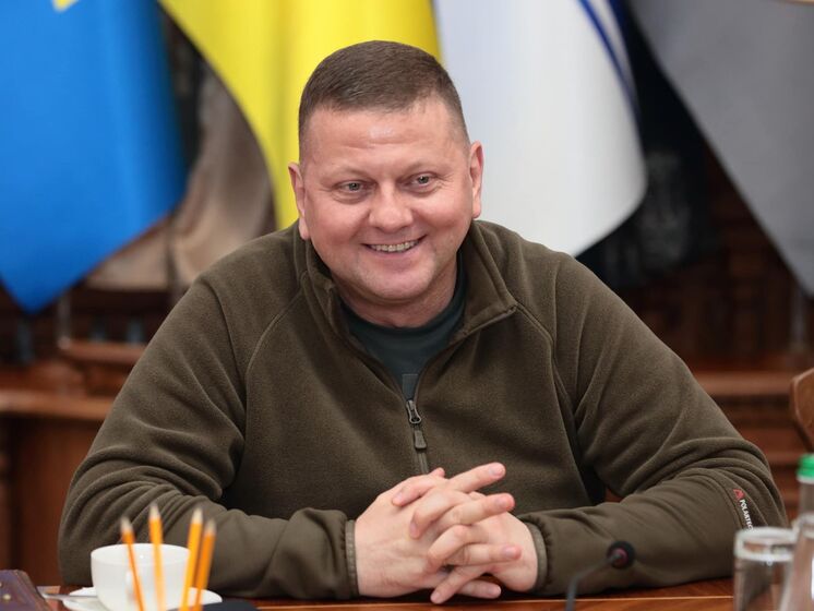 Украинские военные сбили из польских ЗРК девять беспилотников Shahed-136 за двое суток – Залужный