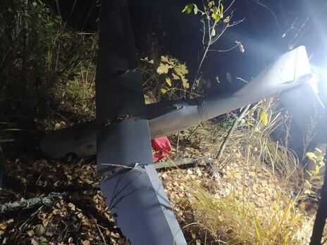 В Киевской области в лесу нашли российский дрон – полиция