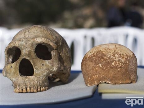 Неандертальцы могли вымереть из-за скрещивания с человеком разумным – ученые