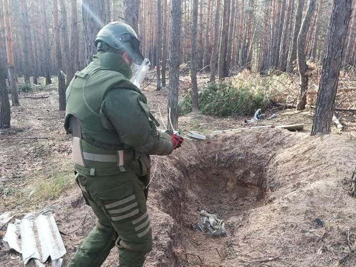 Из-за войны России в Украине пострадали 3 млн га лесов – 