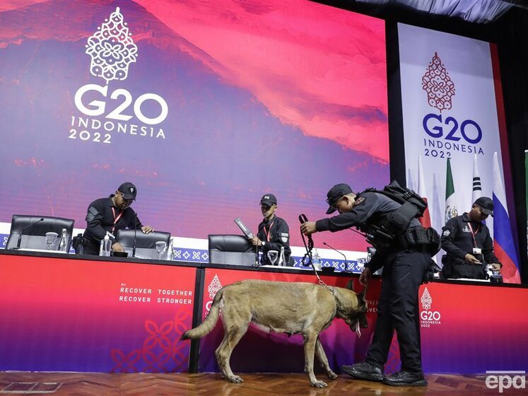 Украинскую делегацию на саммите G20 будет физически представлять посол в Индонезии – МИД Украины