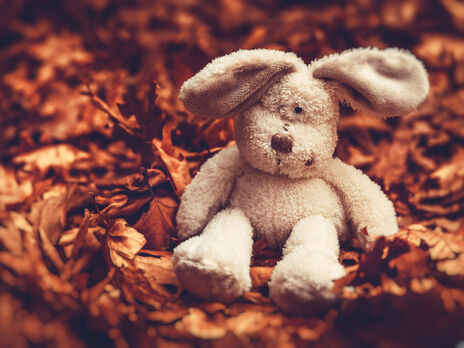 В Украину вернули 103 ребенка, незаконно депортированных в РФ – Нацполиция