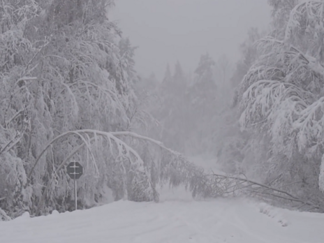 В Швеции из-за сильного снегопада отменяют поезда, автомобильное движение усложнено