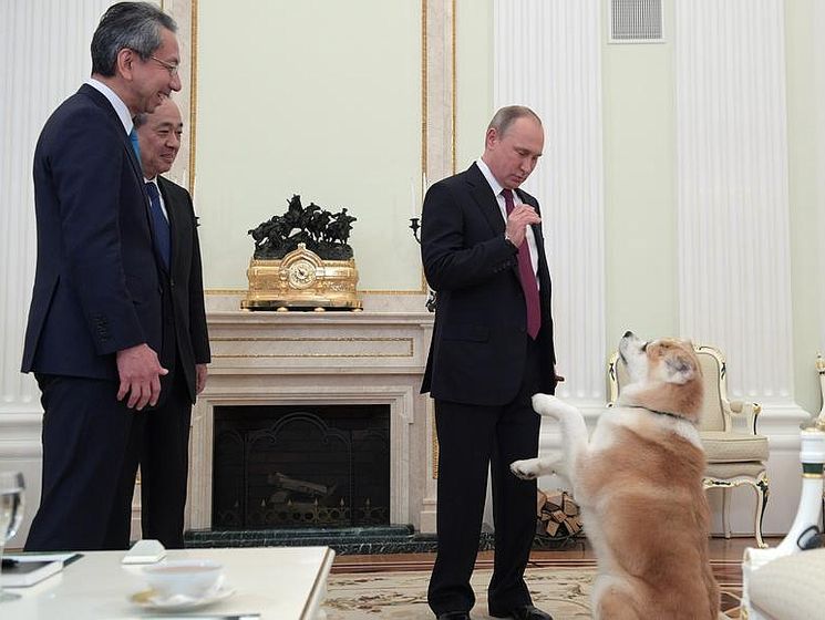 Путин показал журналистам собаку, подаренную ему в Японии в 2012 году. Видео