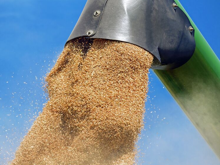 Окупанти вкрали 900 тонн зерна у Луганській області