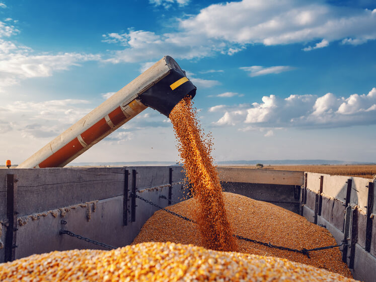 Судна, пов'язані з найбільшим у Росії зернотрейдером, перевозили вкрадене українське зерно – WSJ