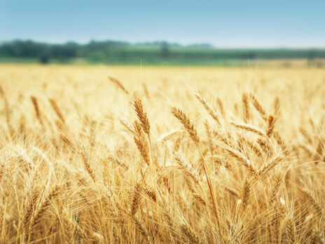 Компания экс-министра сельского хозяйства РФ захватила 400 тыс. акров украинской земли – WSJ