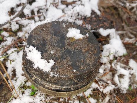 У Київській області мирний житель підірвався на міні – Держприкордонслужба