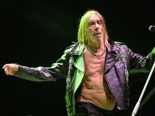 Игги Поп презентовал песню из своего нового альбома. Она об 